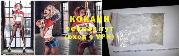 индика Кулебаки