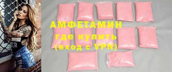 индика Кулебаки
