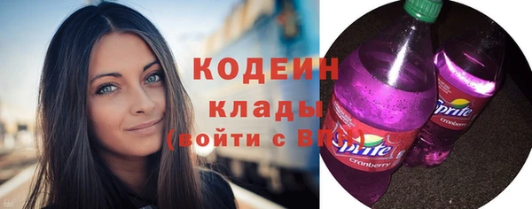 индика Кулебаки