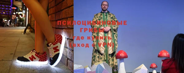 индика Кулебаки