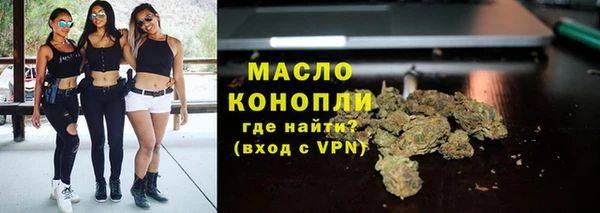 индика Кулебаки