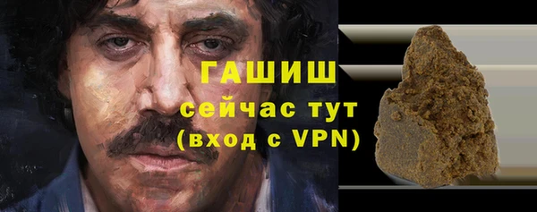индика Кулебаки