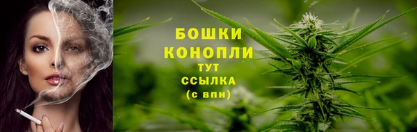 индика Кулебаки