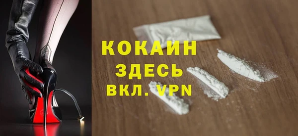 индика Кулебаки