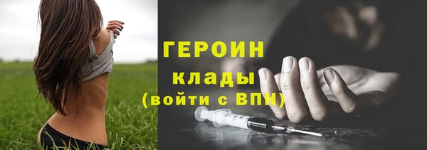 индика Кулебаки