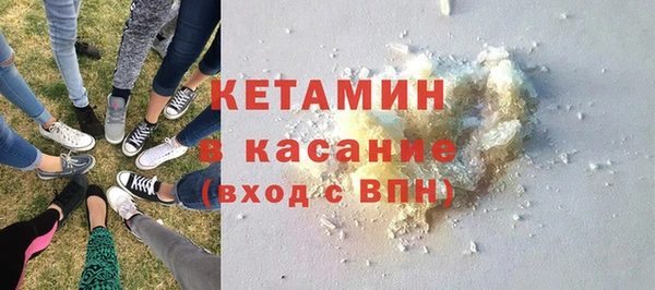 индика Кулебаки