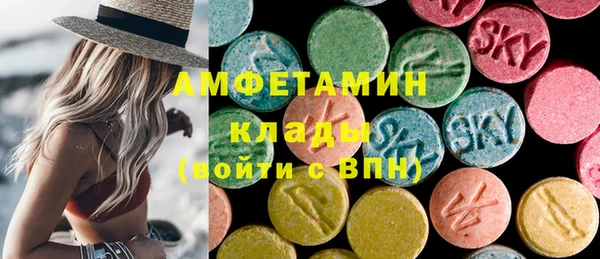 индика Кулебаки