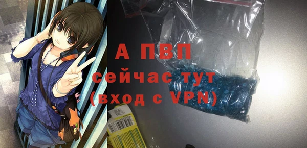 индика Кулебаки