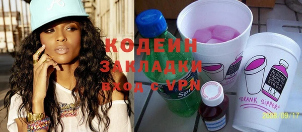индика Кулебаки