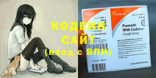 индика Кулебаки