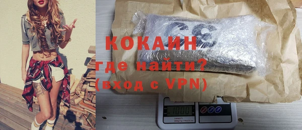 индика Кулебаки