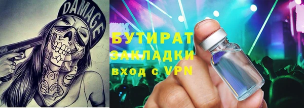 индика Кулебаки