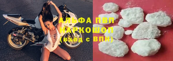 индика Кулебаки