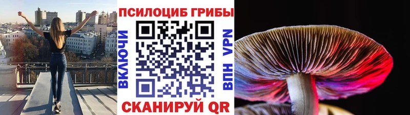 Псилоцибиновые грибы прущие грибы  Ростов-на-Дону 