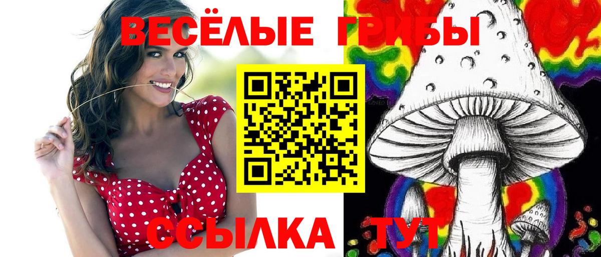 Псилоцибиновые грибы GOLDEN TEACHER Ростов-на-Дону