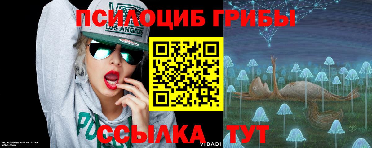 Ростов-на-Дону  Галлюциногенные грибы прущие грибы  продажа наркотиков  Вход с VPN 