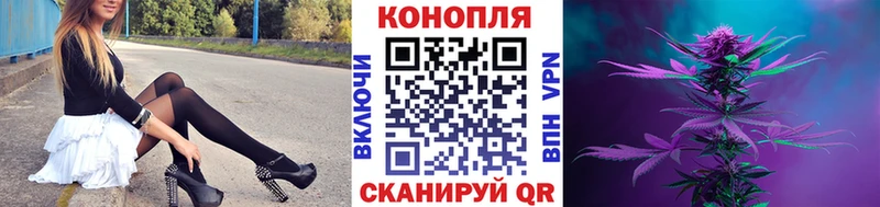 Конопля сатива  OMG сайт  Ростов-на-Дону 